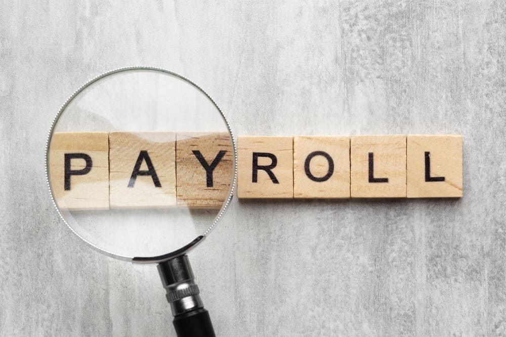 9 Best Payroll Software in UAE