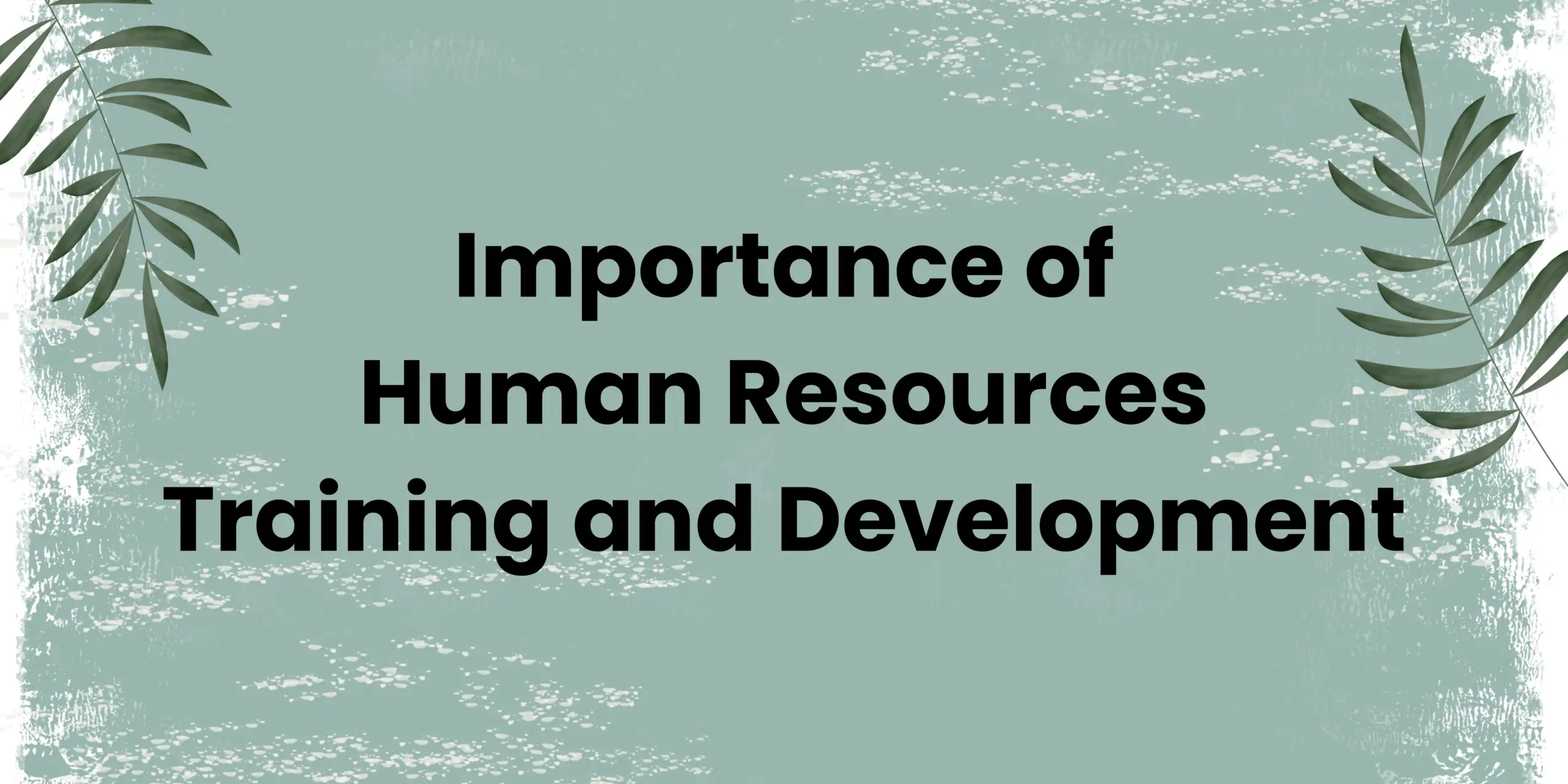 Importance of Human Resources Training and Development